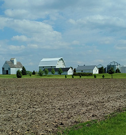 Farm