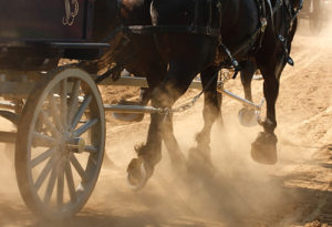horse pulling a carriage